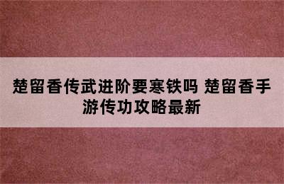 楚留香传武进阶要寒铁吗 楚留香手游传功攻略最新